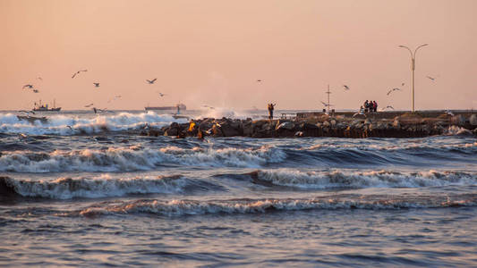 风暴, 在黑海海岸的海鸥, 里奥尼河, 锅