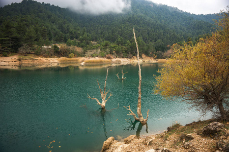 秋季景观与绿色水域的湖 Tsivlos，奔