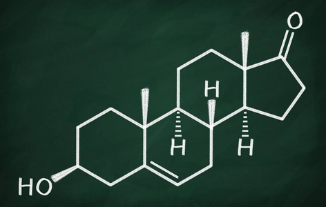 脱氢表雄酮的结构模型