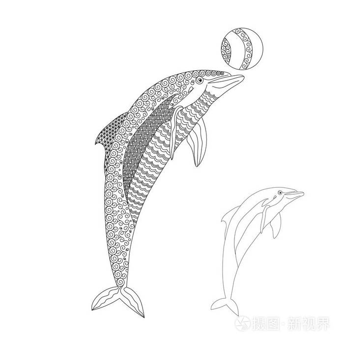 黑色白色手画的涂鸦海豚与球的海洋动物草绘成人的抗应激着色页矢量图