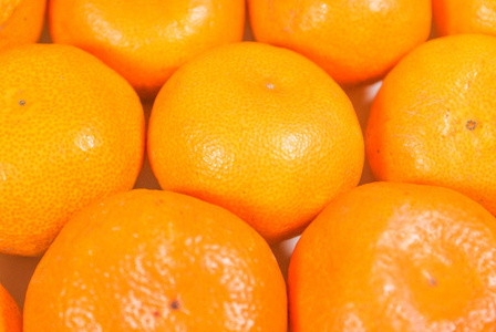 橙色橘子橘图片