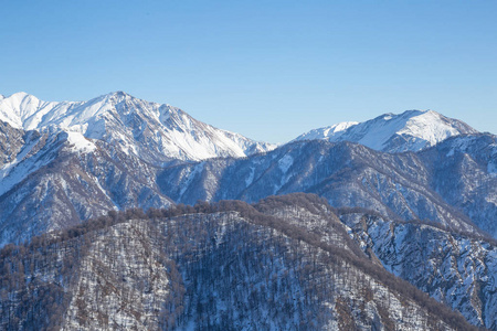 Cl地里山