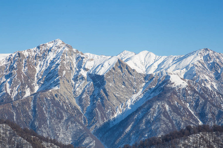 Cl地里山