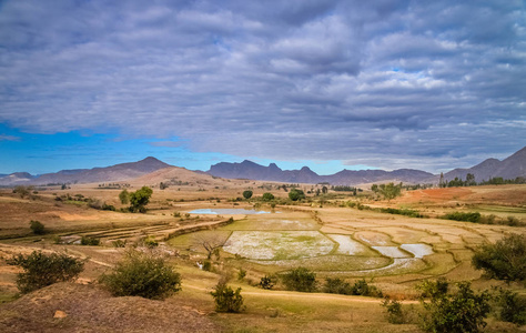 马达加斯加 Ricefields