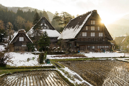 白川乡合掌神社建筑史 合掌式 房子