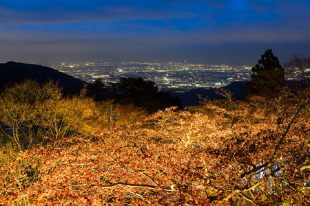 从大山山到伊势原市的秋叶和夜景相似素材图片 摄图新视界 从大山山到伊势原市的秋叶和夜景相似素材图片 摄图新视界