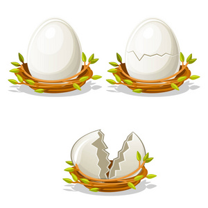 卡通搞笑鸡蛋在鸟巢的树枝图片