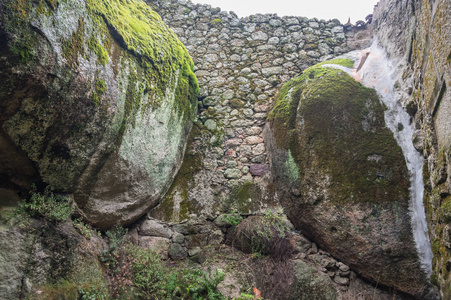 孟山都村