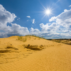 炎热的夏天沙质沙漠景观照片