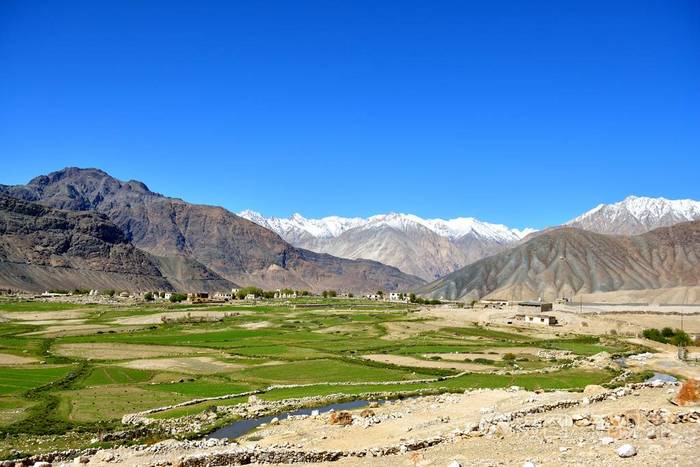 在拉达克的努布拉河谷