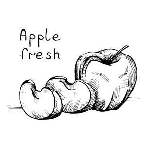 素描切苹果图片-素描切苹果素材-素描切苹果插画-摄图新视界