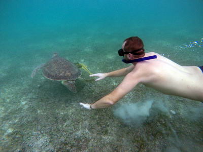 墨西哥海龟水下游泳浮潜的男孩