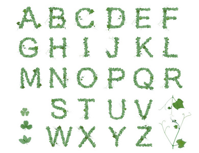 字母表字母 Abc 从帕特里克节叶或春季和夏季的风格。字母表字母设置从草莓 葡萄 苜蓿叶。孤立在白色背景上的绿色字体