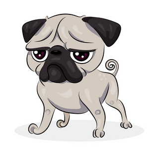 卡通可爱搞笑矢量 pug 在白色的背景照片
