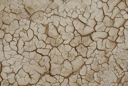 龟裂的大地,干涸的土地照片