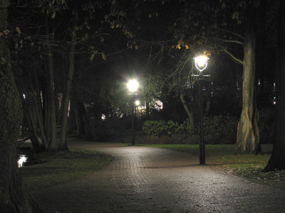 夜在城市公园