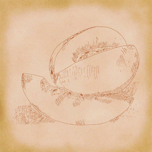 切开哈密瓜素描图片