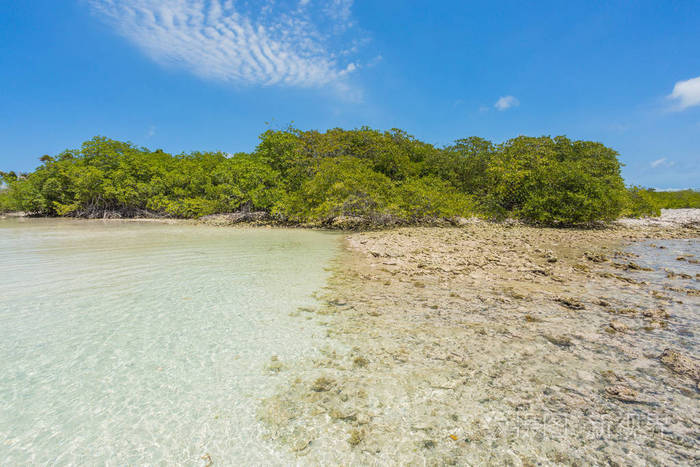 火烈鸟岛海滩阿鲁巴