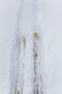木制雪橇在雪径