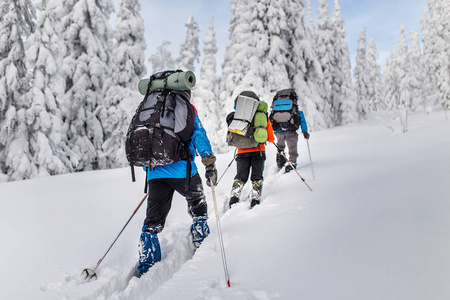 组的滑雪者和在冬天山和森林的背包徒步旅行