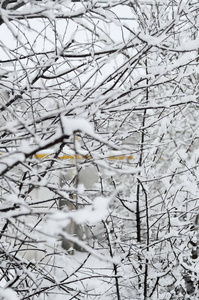 克里米亚多雪的冬天