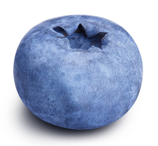 蓝莓浆果孤立在白色背景
