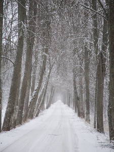 在北欧的美丽的冬天景观