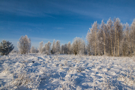 在北欧的美丽的冬天景观
