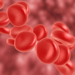 血红细胞流动