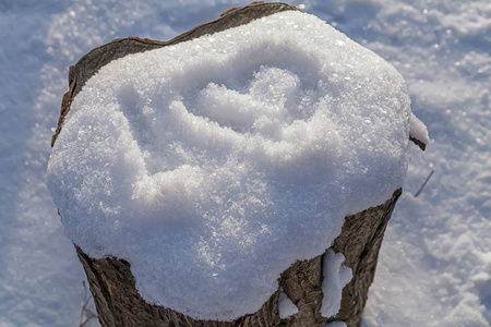 树桩与雪帽与手绘心脏形状。我喜欢冬天的概念。可爱的冬季雪景