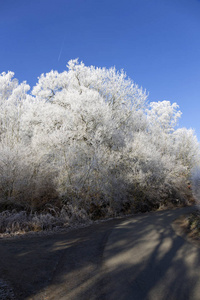 多雪的美丽童话冬季农村与蓝蓝的天空，在中央的波西米亚，捷克共和国