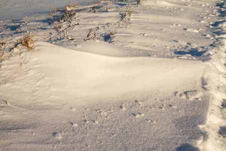 雪在接近