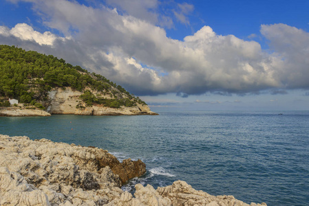 Apula 海岸，加尔加诺国家公园 Pungnochiuso 湾。Vieste,Italy.The 湾北临绝妙的山满古松