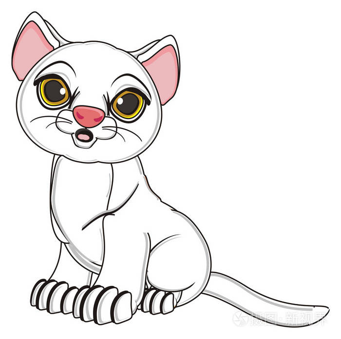 可爱的白色小猫