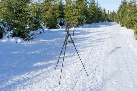 冬天三脚架上的相机站在森林的小道上