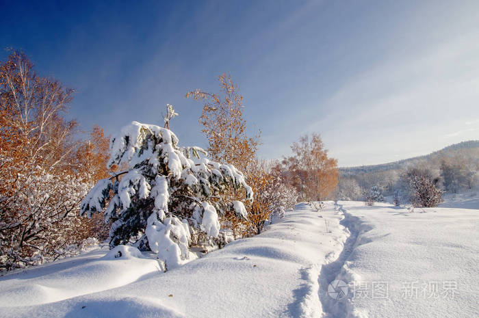 在俄罗斯西伯利亚阿尔泰山的背景下 冬季明亮的白色雪原上的路径小路照片 正版商用图片0wh0lx 摄图新视界 在俄罗斯西伯利亚阿尔泰山的背景下 冬季明亮的白色雪原上的路径小路照片 正版商用图片0wh0lx 摄图新视界