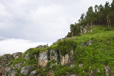 山，Lagonaki，高加索，俄罗斯