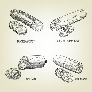 熏制的香肠 bloedworst cervelatwurst 意大利腊肠和香肠图标集。矢量图形素描用来做广告的肉类产品，屠
