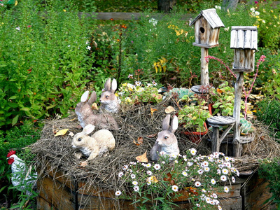在农场上的兔子一家.装饰照片