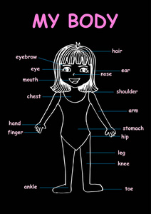 我的身体，为教育信息图形图表孩子显示一个可爱的卡通女孩人体部位