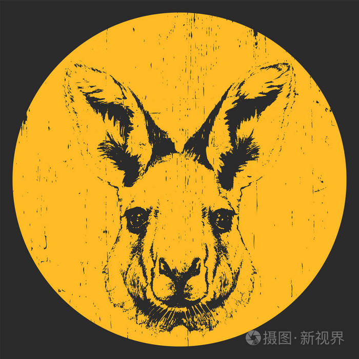 袋鼠的手画的肖像