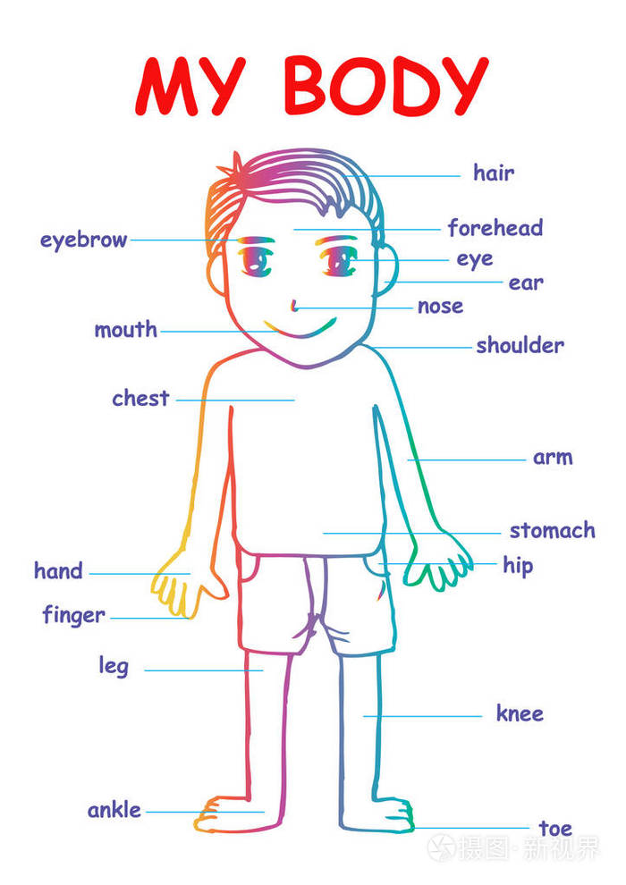 我的身体为教育信息图形图表孩子显示一个可爱的卡通男孩人体部位