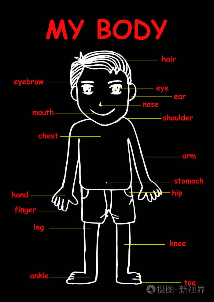 身体部位卡通图片教学图片