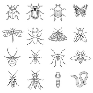 昆虫在大纲样式中设置图标。大集合的昆虫矢量符号股票图