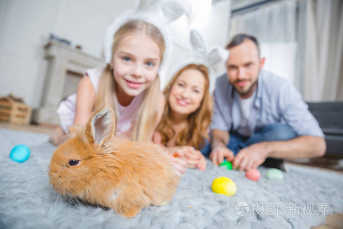 家庭和兔子一起玩