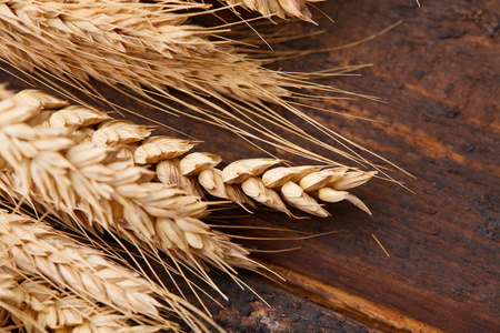 小穗的小麦的木制的背景