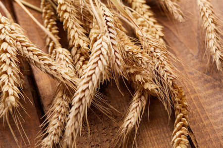 小穗的小麦的木制的背景