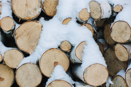 被雪覆盖着的木柴