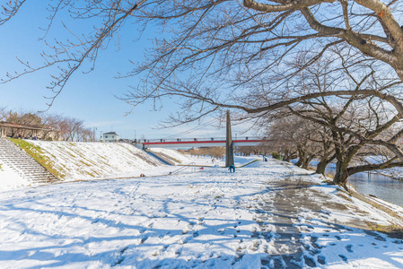 公共公园与白色的雪