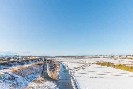 公共公园与白色的雪